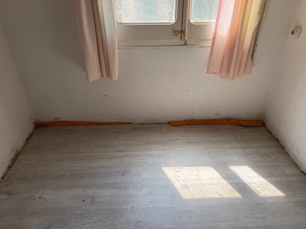 Effective methods for mold removal after water damage